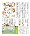 be-o vol.107（2018.10-11）